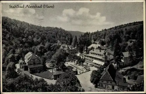 Ak Alexisbad Harzgerode am Harz, Stahlbad