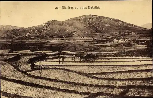 Ak Betsiléo Madagaskar, Rizières au pays, Reisfelder