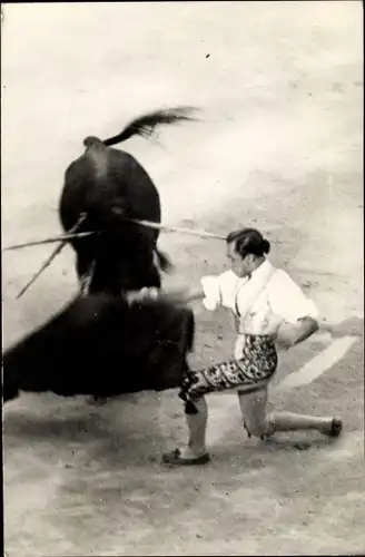 Foto Ak Stierkampf, Torero mit rotem Tuch, Bulle