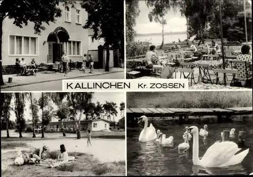 Ak Kallinchen Zossen im Kreis Teltow Fläming, Gasthaus Peter Krug, Terrasse, Schwanenteich