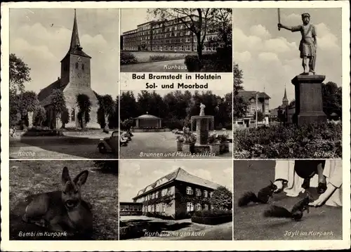 Ak Bad Bramstedt in Schleswig Holstein, Kirche, Kurhäuser, Musikpavillon, Roland, Reh, Eichhörner