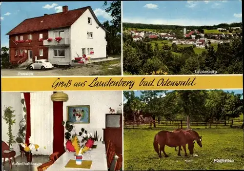 Ak Laudenberg Limbach Baden, Ortsansicht, Pension, Außen- u. Innenansicht, Pony