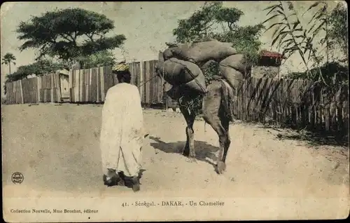 Ak Dakar Senegal, Un Chamelier, Kamel