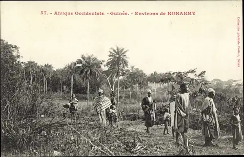 Ak Konakry Environs Guinea, Afrique Occidentale