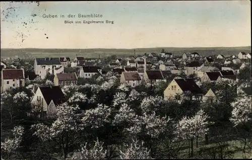 Ak Guben in der Niederlausitz, Totalansicht vom Ort, Baumblüte, Blick von Engelmanns Berg
