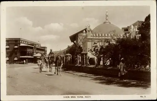 Ak Aden Jemen, Sheik Said Tomb, camels