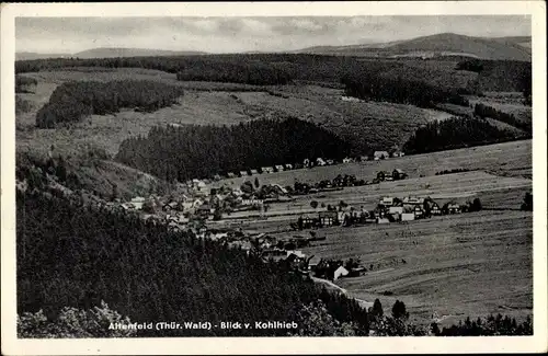 Ak Altenfeld Thüringen, Blick vom Kohlhieb