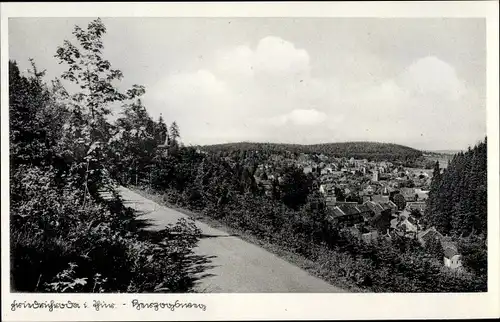 Ak Friedrichroda im Thüringer Wald, Herzogsweg