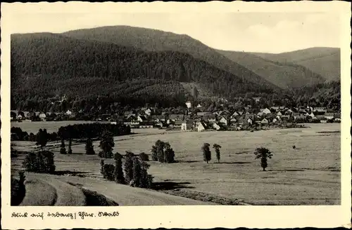 Ak Tabarz im Thüringer Wald, Panorama vom Ort