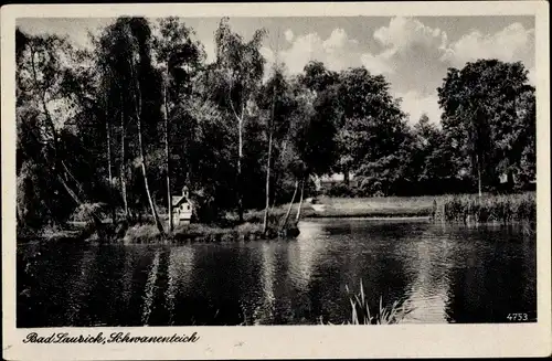 Ak Bad Lausick in Sachsen, Schwanenteich, Entenhaus