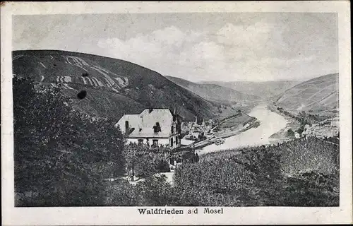 Ak Alf an der Mosel Rheinland Pfalz, Talpanorama, Haus Waldfrieden, Weinberge