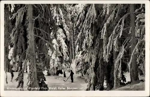 Ak Altenfeld Thüringen, Kalter Brunnen, Winteransicht, Wald, Schnee