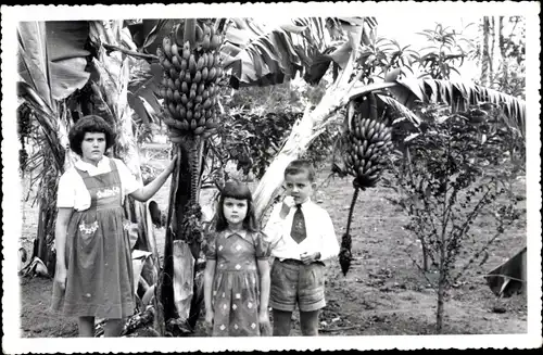 Foto Ak Madagaskar, Kinder vor Bananenbaum