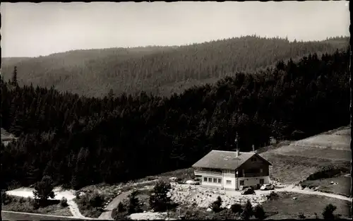 Ak Bubenbach Eisenbach Hochschwarzwald, Hotel Sommerberg, Wald