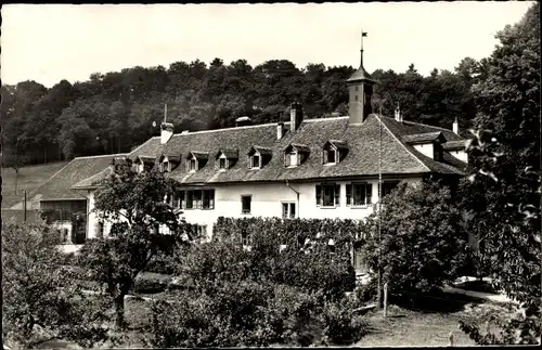 Ak Kt. Bern, Hotel St. Petersinsel am Bielersee