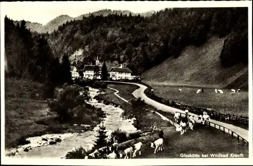 Ak Glashütte Kreuth am Tegernsee Oberbayern, Partie zum Ort, Kuhherde am Fluss