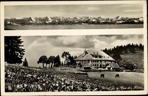 Ak Vue des Alpes Kt. Neuenburg, Hotel de la Vue des Alpes