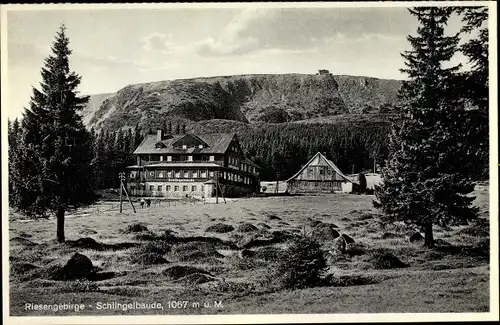 Ak Schlesien, Riesengebirge, Schronisko na Starej Polanie, Schlingelbaude