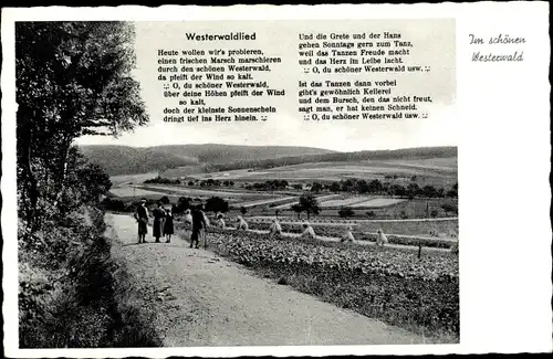 Liedkarten Ak Westerwaldlied, Strophen, Straßenpartie, Westerwald