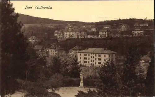 Ak Bad Gottleuba in Sachsen, Blick auf den Ort mit Umgebung