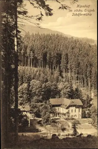 Ak Kipsdorf Altenberg im Erzgebirge, Durchblick zur Schäfermühle, Wald