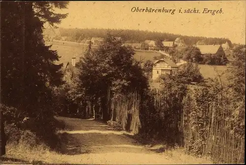 Ak Oberbärenburg Altenberg im Osterzgebirge, Teilansicht vom Ort, Wegepartie