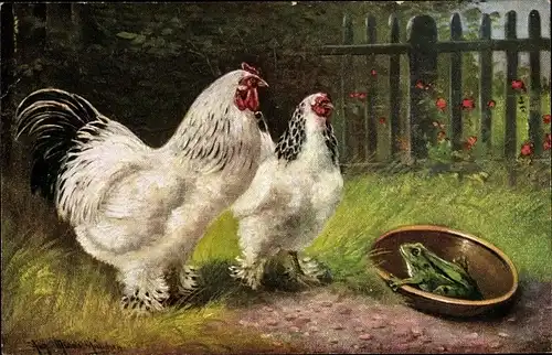 Künstler Ak Müller, August, Hühner, Frosch, Garten