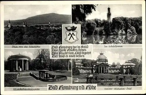Ak Bad Homburg vor der Höhe Hessen, Schloßpark, Elisabethbrunnen, Kaiser Wilhelm Bad