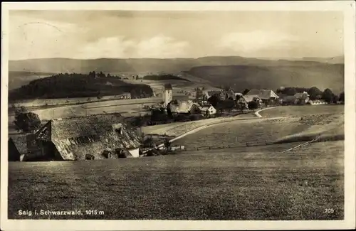 Ak Saig Lenzkirch Schwarzwald, Panorama