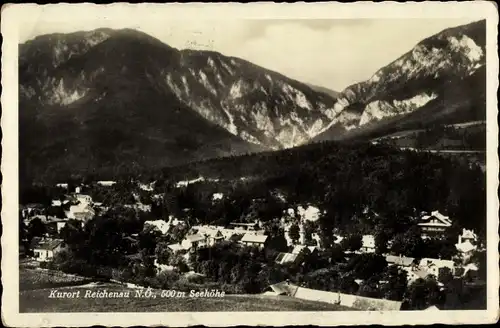 Ak Reichenau in Niederösterreich, Panorama vom Ort