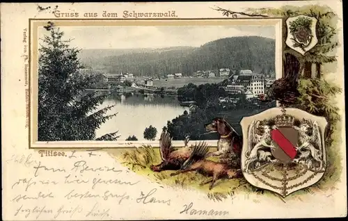 Präge Passepartout Wappen Ak Titisee Neustadt im Breisgau Hochschwarzwald, Panorama vom Ort, See