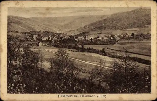 Ak Hasenfeld Heimbach in der Eifel, Panorama