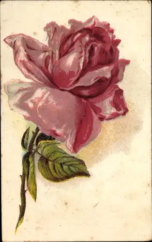 Künstler Ak Rote Rose, Blume