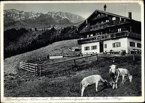 Ak Bad Tölz im Isartal Oberbayern, Blomberghaus mit Benediktenwandgruppe, Kühe