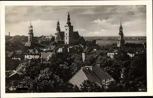 Ak Oelsitz in Sachsen, Panorama