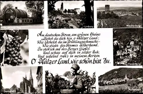 Ak O Pfälzer Land, wie schön bist Du, Deidesheim, Hardenburg, Wachtenburg, Limburg, Königsbach