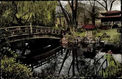 Ak Leverkusen in Nordrhein Westfalen, Botanischer Garten