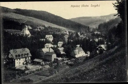 Ak Kipsdorf Altenberg im Erzgebirge, Panorama vom Ort