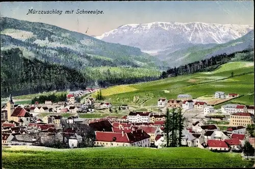 Ak Mürzzuschlag Steiermark, Panorama vom Ort und Schneealpe