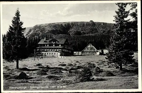 Ak Riesengebirge Schlesien, Schlingelbaude