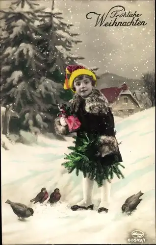 Ak Glückwunsch Weihnachten, Kind im Schneefall, Vögel, Amag 63549 1