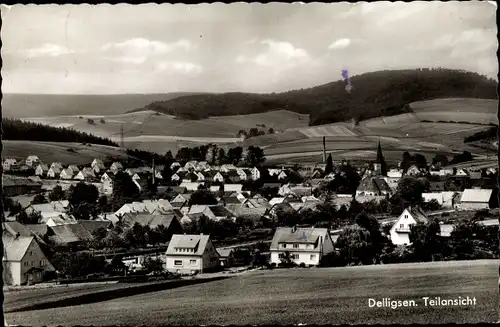 Ak Delligsen Alfeld an der Leine, Teilansicht