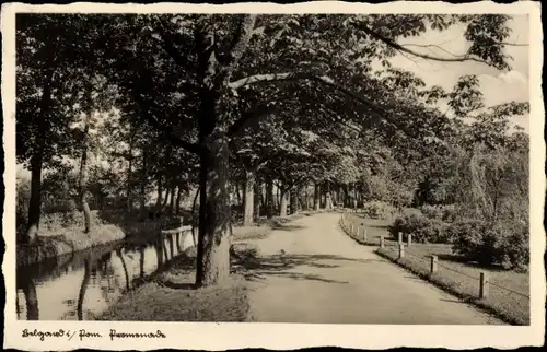 Ak Bialogard Belgard Pommern, Promenade, Uferpartie