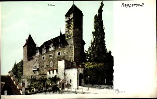 Ak Rapperswil Sankt Gallen, Blick auf das Schloss