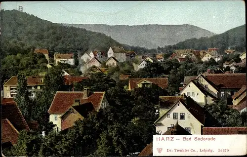 Ak Bad Suderode Quedlinburg im Harz, Totalansicht