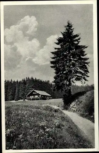 Ak Steinbach Johanngeorgenstadt im Erzgebirge, Teilansicht des Ortes