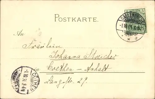 Künstler Litho Klein, Catharina, Blumenstillleben, Aus Feld und Garten, Meissner Buch 1052