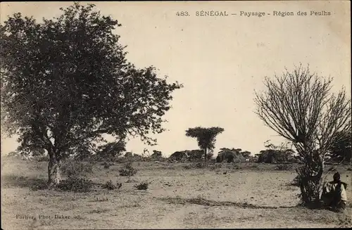 Ak Senegal, Paysage au region des Peulhs