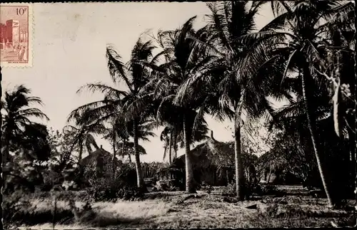 Ak Senegal, Cases sous les Cocotiers