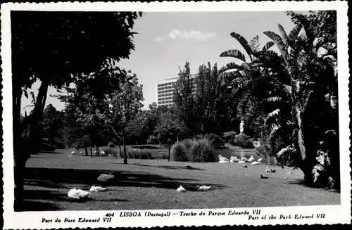 Ak Lisboa Lissabon Portugal, Trecho do Parque Eduardo VII